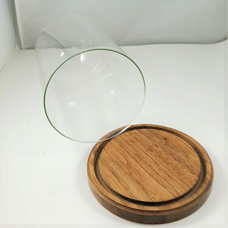 12" Clear Clock Dome with Wooden Base