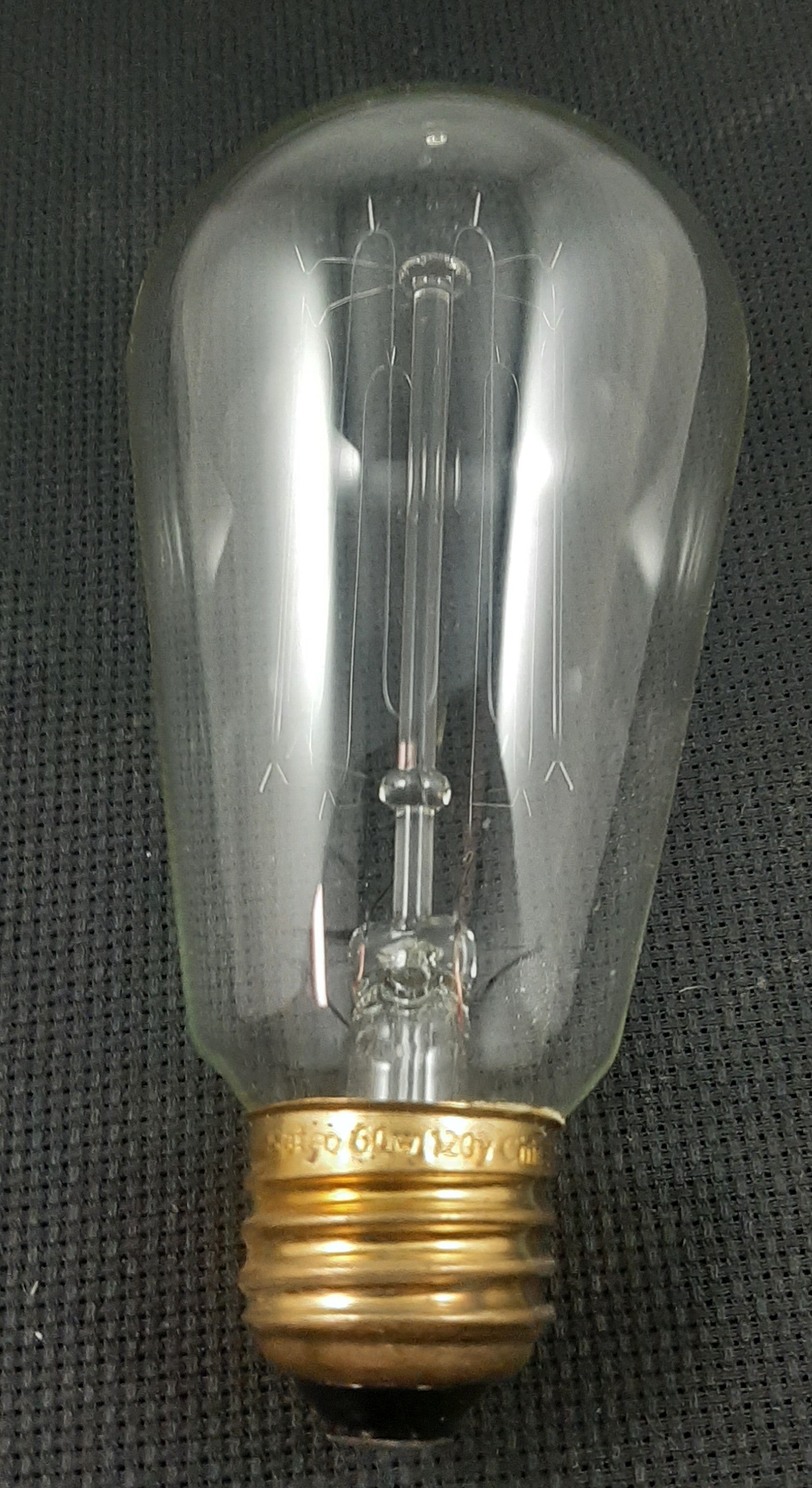 60 Watt Edison Cage Style Filament Bulb 120V