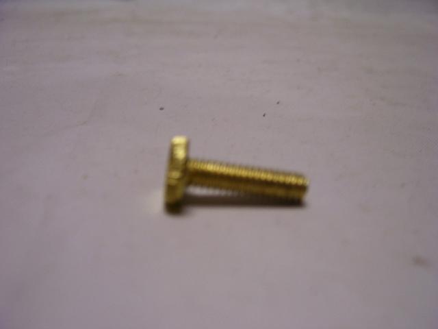 3/4" Brass Plated - Knurled Head Screws for all holders - 8/32