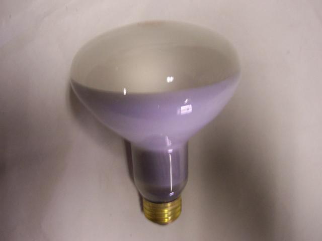65W Medium Base Large Reflector bulb 130 VOLT