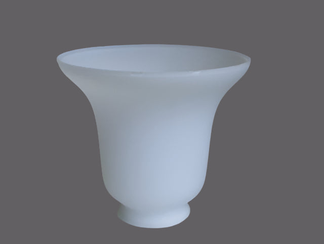 Elegant Frosted Cased Glass Fixture Shade.