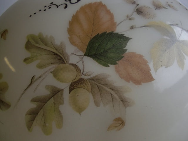 Autumn Foliage Decoration on Peach Shade