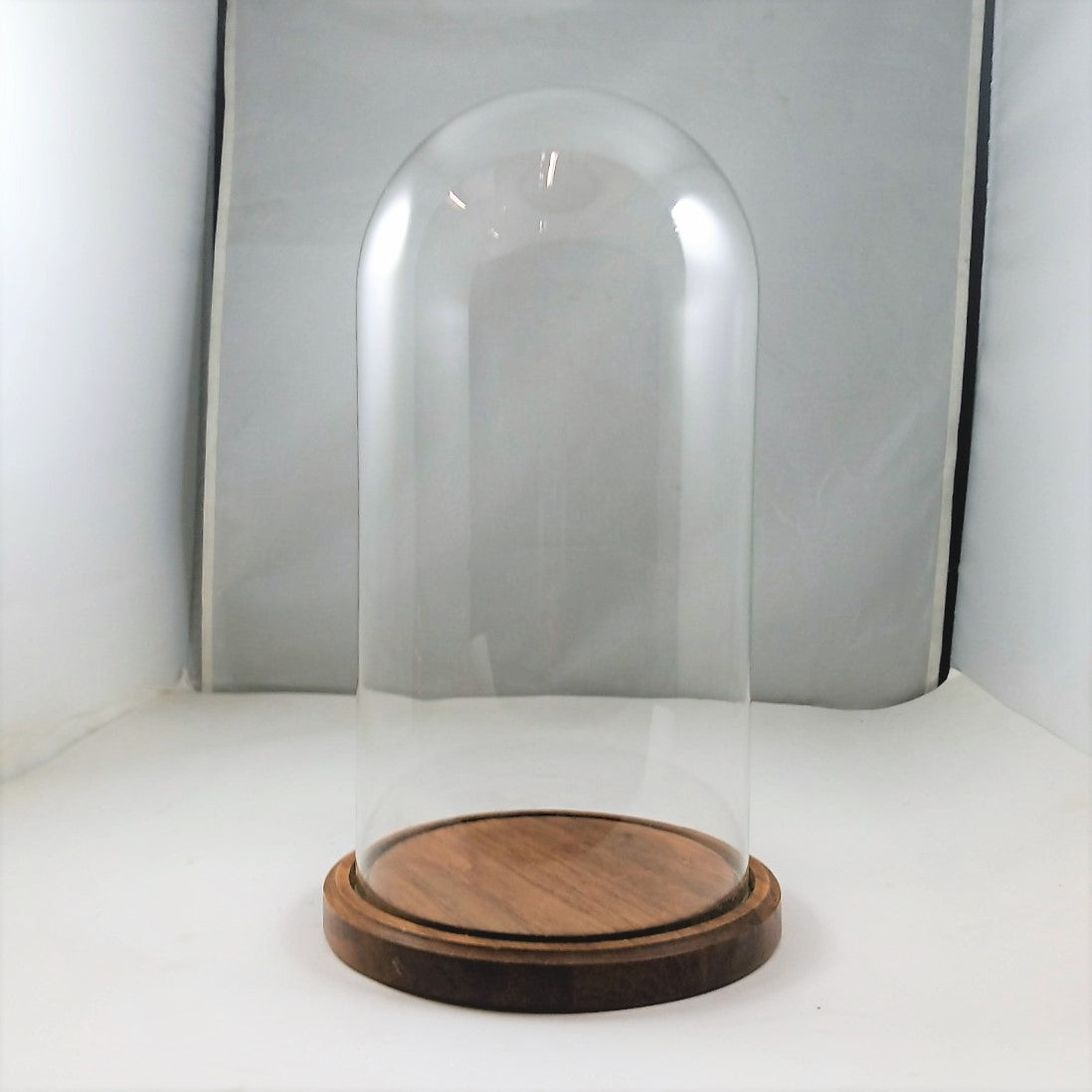 Domed Glass Case with Wooden fitted base.
