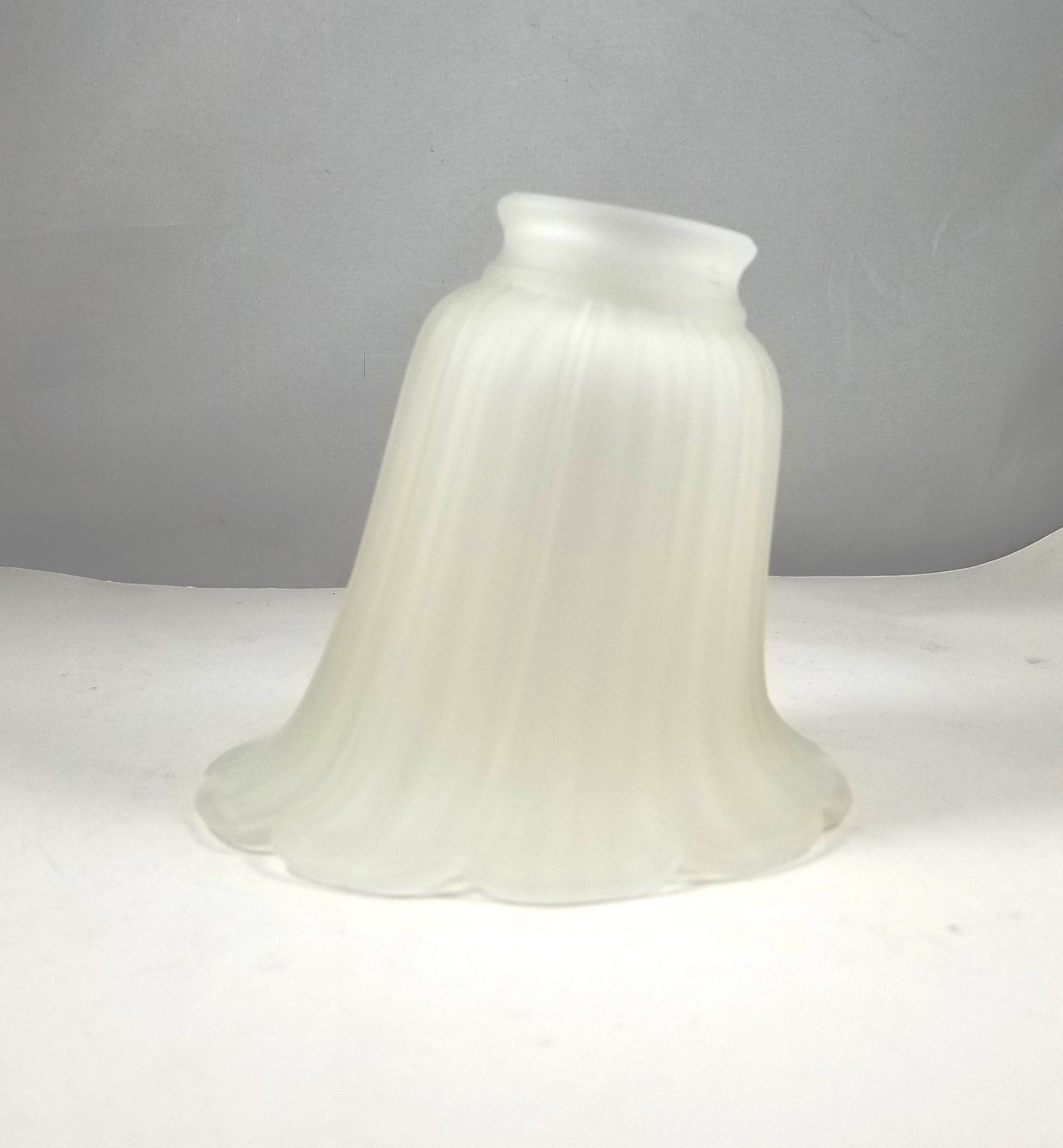 Large Satin Petal Frosted Shade  **ONLY 6 LEFT**